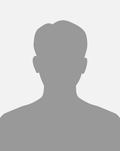 Prof. Dr. Hans-Michael Wolffgang